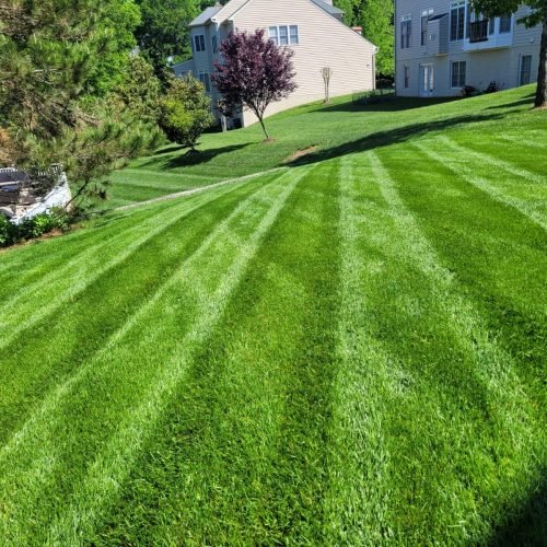HCA-LAWN-CARE-3